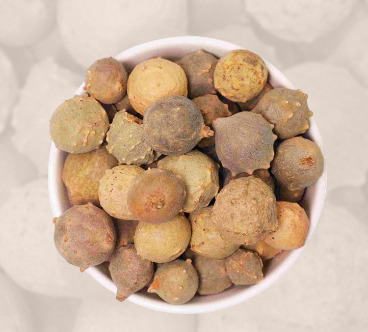 English : Oak-Gall , Hindi : Maajoophal, Majuphal , Sanskrit : Mayaphala , Urdu : Mazu, Mazuphal , Punjabi : Maju , Assamese : Aphsa , Bengali : Majoophal, Majuphal , Gujrati : Muajoophal, Mayfal , Kannada : Machikaai, Mapalakam , Malayalam : Majakaanee, Mashikkay , Marathi : Maayaphal , Oriya : Mayakku , Tamil : Machakaai, Masikki, Mussikki , Telugu : Machikaaya.