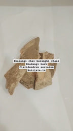 Bharangi Chhal - Baranghi Chaal - Bhadangi Bark - Clerodendrun Serratum