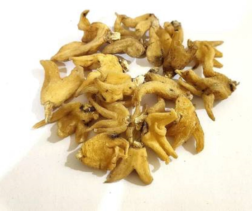 Salam Panja / Salab Punja / सलाम पांजा / Salam Panja /  Marsh Orchid - Nutrixia Food