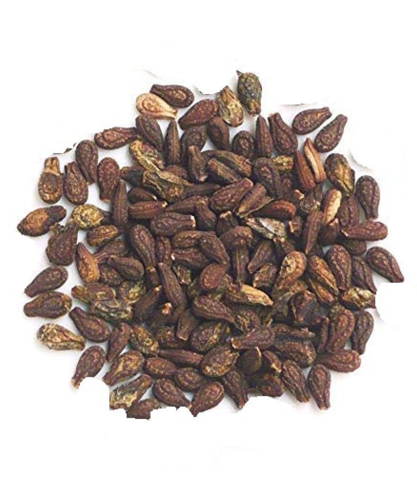 Sivalingi Seed and Putrajivak Seed -Sivalingi Seed-Sivalengi Seed-Putrajeevak Beej -Putrajivak Beej- Sivalingi Seed and Putrajivak Seed Combo