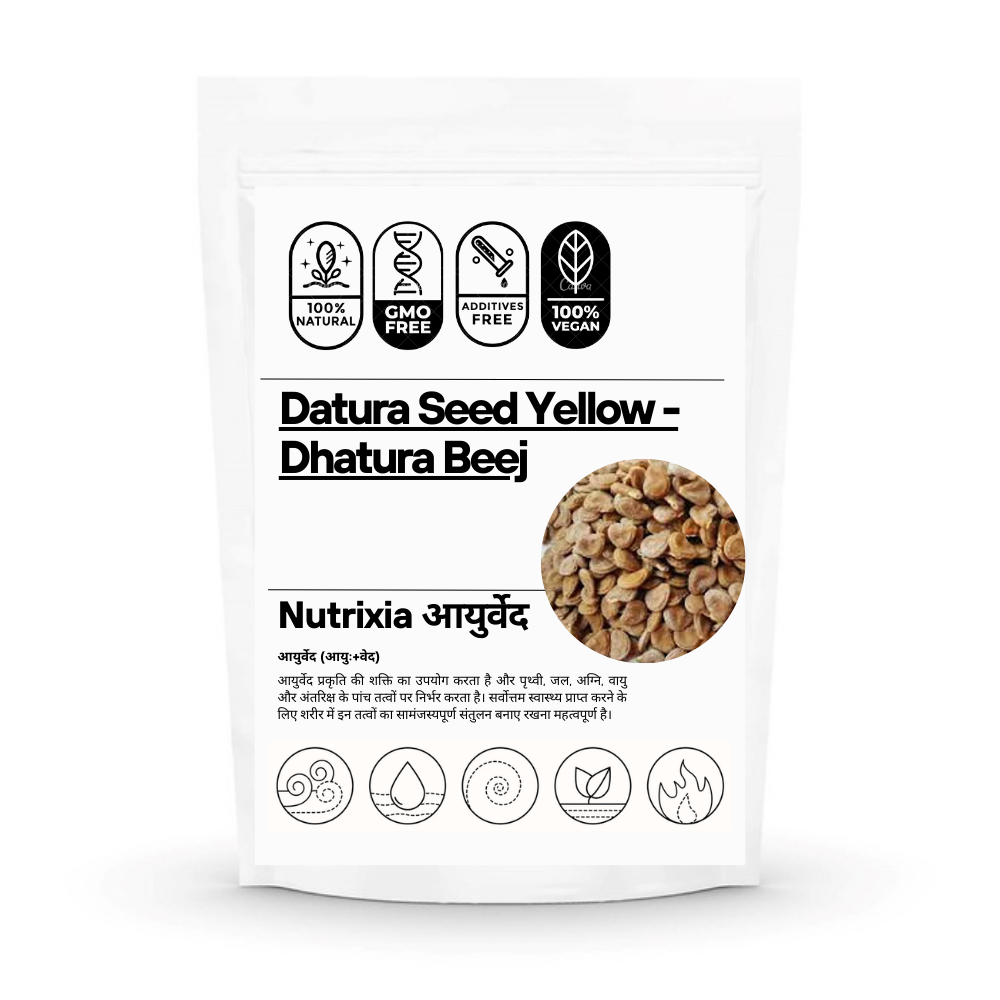 Datura Seed - Dhatura Beej - Beej Dhatura - Purple Angels Trumpet Moonflower Seed Nutrixia