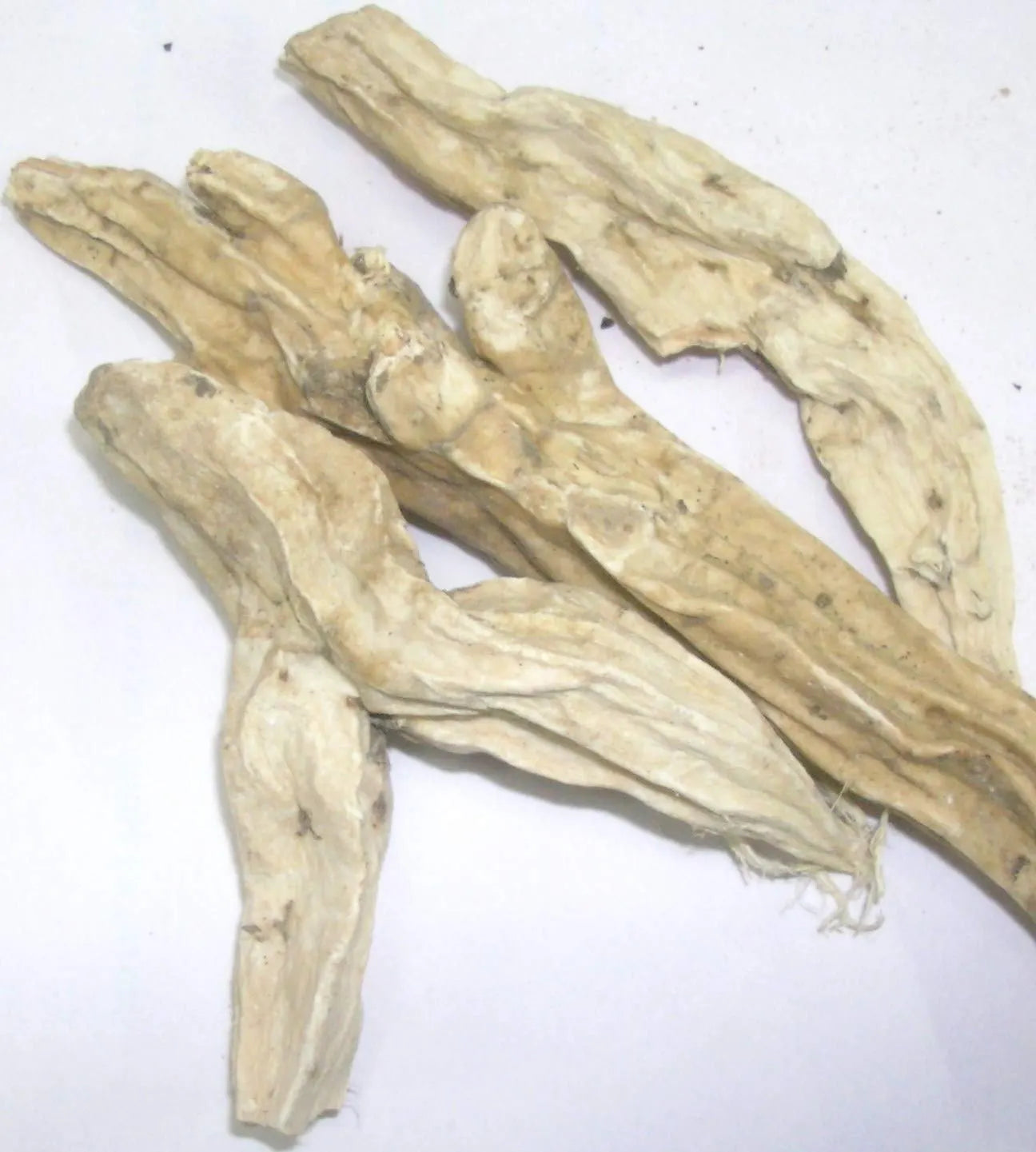 Naa’ima, Saalbiya, Saalfiyaa, Bahman Abyad, Lal Behman, Dan shen, Red Sage, Garden Sage, Dalmation Sage, Common Sage, Sauge Rouge, Wiesensalbei, Lal Bahaman, Salvia haematodes Linn, Behman Surkh, Behman Surkh