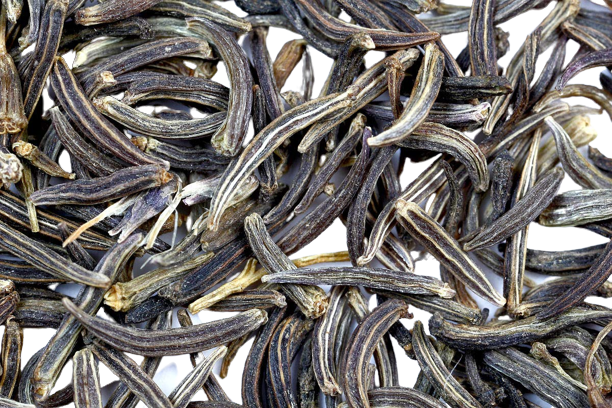English : Black Caraway, Hindi : Kalajira, Sanskrit : Asitajiraka, Urdu : Zira Siyah, Kala Zira, Punjabi : Zira Siyah, Kalajira, Assamese : Krisnjeera, Ka1ajira, Kaljira, Bengali : Kala jira, Gujrati : Shahjirun, Kannada : Kari jeerige, Shahajeerige, Kashmiri : Krihunzur, Malayalam : Karunjiraka, Karinjeerakam, Marathi : Shahira, Shahajira, Oriya : Kalajira, Tamil : Karamjiragam, Shimai shambu, Telugu : Nalla Jeelakarra. 