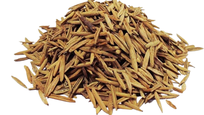  English : Ester Tree, Conessi Seeds, Hindi : Indraju, Kurchi, Kuraiya, Sanskrit :BhadraYava, Kalinga, Sakra, Vatsaka, Urdu :Tukhm-e-Kurchi, IndarjaoTalkh, Punjabi :Indrajau, Kaurasakh, Kura, Assamese :Dudhkuri, Bengali :Kurchi, Gujrati :Kuda, Kudo, Kannada :KodasigeBeeja,Malayalam : Kutakappala, Marathi :Kudayache Beej, Oriya :Kurei, Keruan, Tamil :Kudasapalai, Telugu :KodisapalaVittulu, Palakodisa, Vittulu.