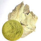parijatak leaf powder, harshringar leaf powder, parijat patta churna, night jasmine leaf powder, parijatak pan powder, nyctanthes arbor tristis powder
