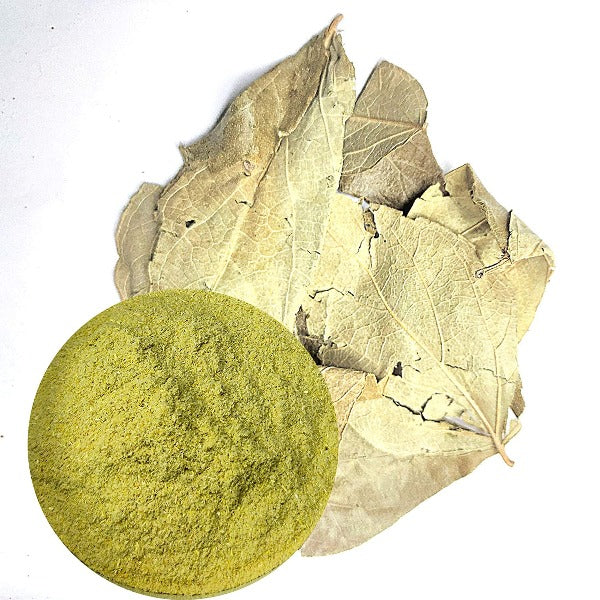 parijatak leaf powder, harshringar leaf powder, parijat patta churna, night jasmine leaf powder, parijatak pan powder, nyctanthes arbor tristis powder