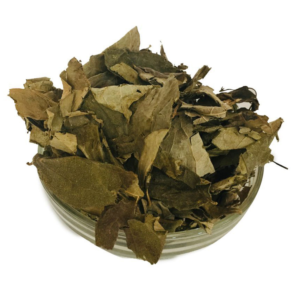 Prishnaparni, also known as Shankaraja or Pitvan, is scientifically called Uraria picta or Hedysarum pictum. In Hindi it’s प्रिस्निपर्णी or पितवन, in Tamil பிரிஷ்னபர்ணி, in Telugu ప్రిష్ణపర్ణి, in Gujarati પ્રિસ્નિપર્ણી, and in Sanskrit प्रिस्निपर्णी. In English, it is called Uraria Root or Prishnaparni Root. Traditionally, it is one of the ten roots (Dashamoola) in Ayurveda, valued for supporting strength, vitality, and rejuvenation.