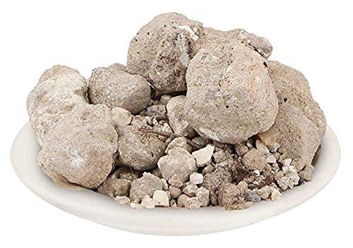 BANSLOCHAN ASLI - TABASHEER - BAMBUSA VULGARIS - BAMBOO CAMPHOR -Nutrixia Food