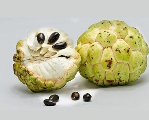 Custard Apple seeds-Sitaphal beej -Nutrixia Food
