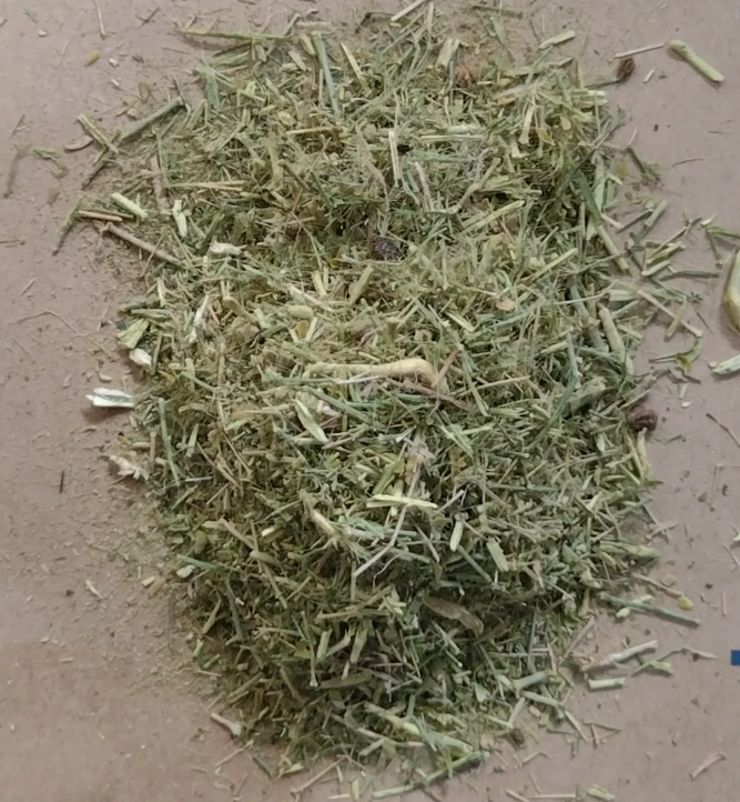 English : Khorasan thorn, Hindi : Damahan, Dhamaasa, Hinguaa, Dhanhare, Sanskrit : Duhsparsa, Duralambha, Dhanvyasakah, Virupa duralabha, Punjabi : Dama, Dhamah, Dhamaha, Bengali : Duralabha, Gujrati : Dhamaaso, Malayalam : Kodittuva, Marathi : Dhamaasaa, Tamil : Tulganari, Telugu : Chittigava, Gilaregati. Figonia