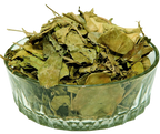 Barkista, Meshsingi, Gurmar, Small Indian Ipecacuanha, Miracle Fruit, Gymnema, Ipécacuanha, Gymnema, Merasingi, Kavali, Gurmar, Gudmar, Kadhasige, Gymnema sylvestre R. Br, Kavki, Medhaashingi, Kista, Madhunashni, Meshshrangi, Sarpadarushtri, Gurmar Buti, Madhu Nashini, Podapatri, God
