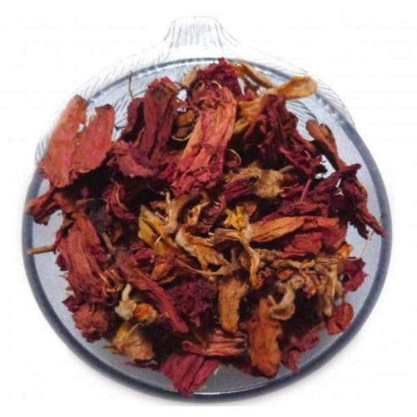 Gudhal Flower  / Jaswand Ful / गुड़हल  फूल  /  Hibiscus Rosa / Sinensis -Nutrixia Food
